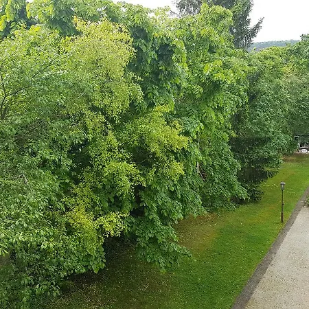 Helenental & Guest house 3*