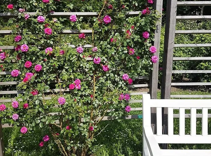 Affittacamere Helenental &